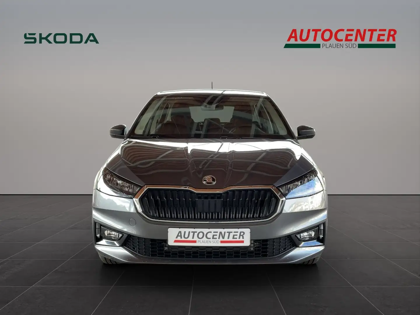 Skoda Fabia Selection Gris - 2