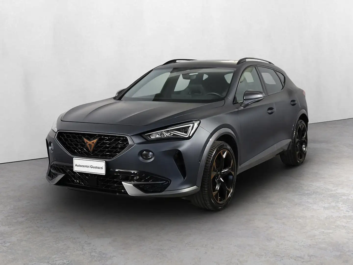 CUPRA Formentor 2.0 tsi vz 245cv dsg Gris - 1