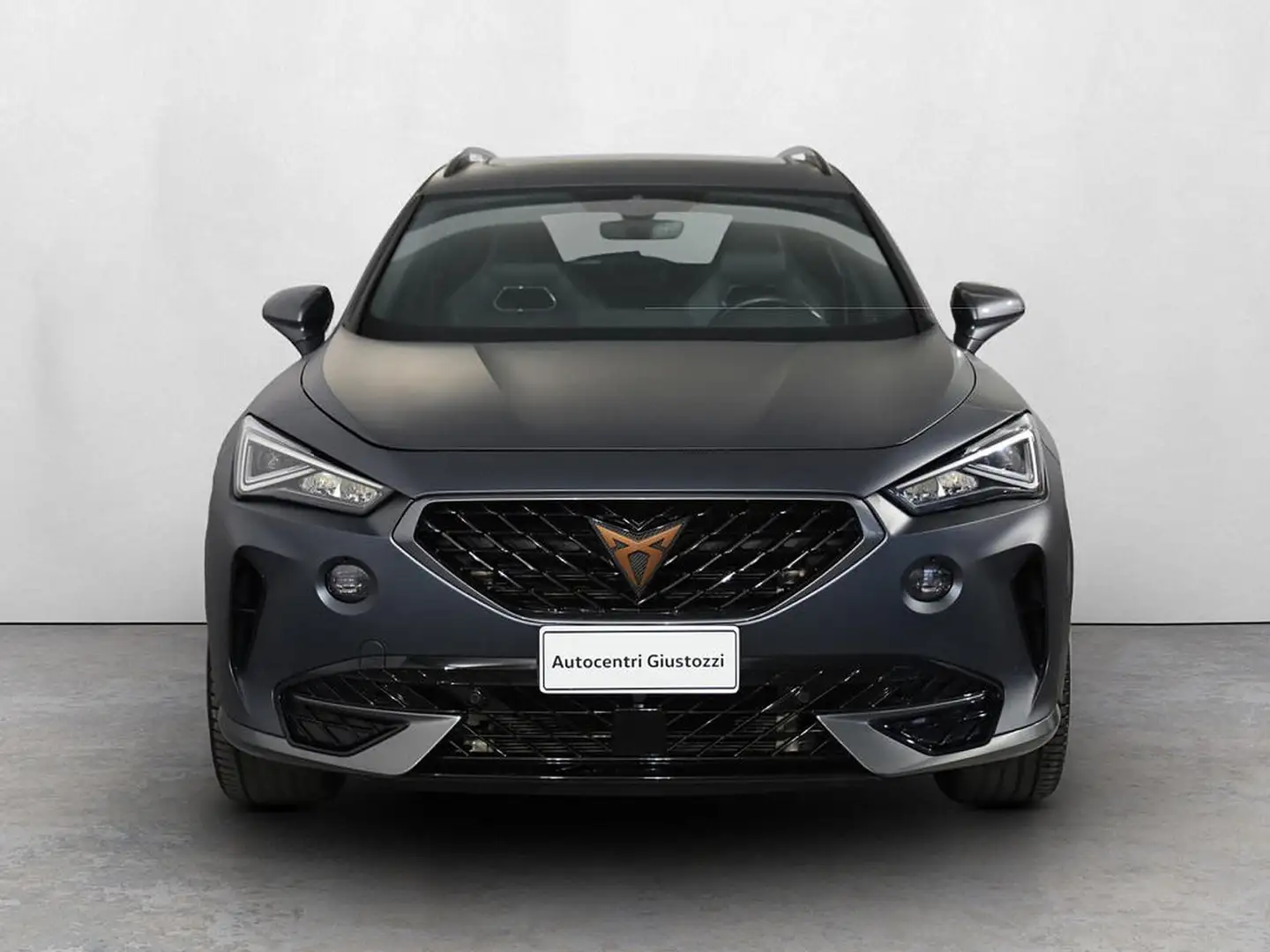 CUPRA Formentor 2.0 tsi vz 245cv dsg Gris - 2
