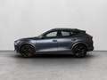 CUPRA Formentor 2.0 tsi vz 245cv dsg Gris - thumbnail 3