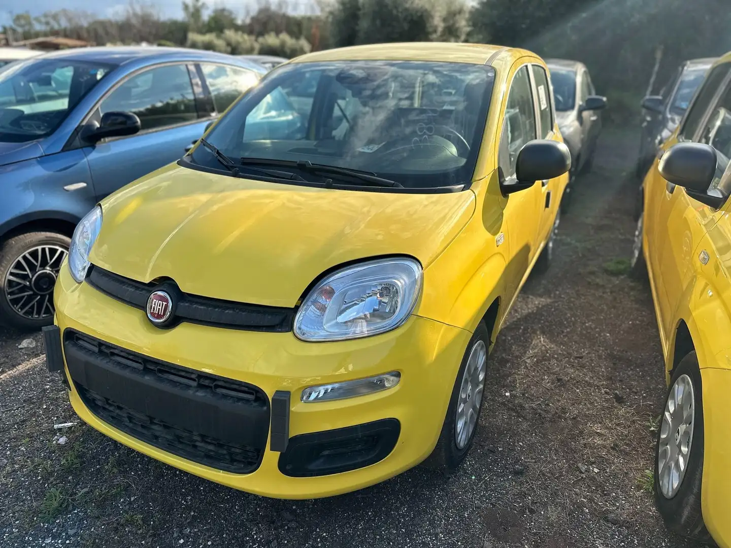 Fiat Panda Pandina 1.0 firefly hybrid Pop Gelb - 1