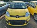 Fiat Panda Pandina 1.0 firefly hybrid Pop Gelb - thumbnail 2