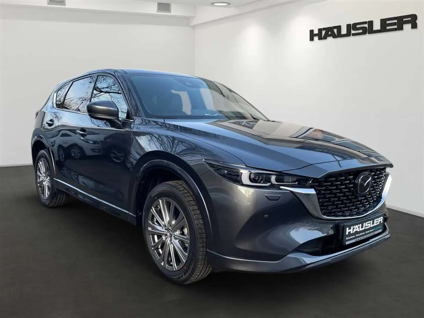 Mazda CX-5 Takumi 2.5L SKYACTIV Navi*PDC*Kamera*Sitz-u.Lenkra Szürke - 2
