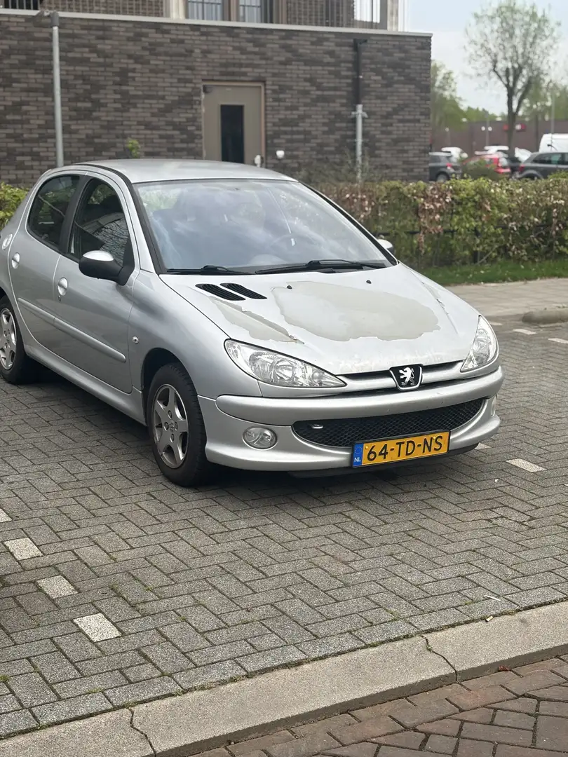 Peugeot 206 75 Petit Filou - 1