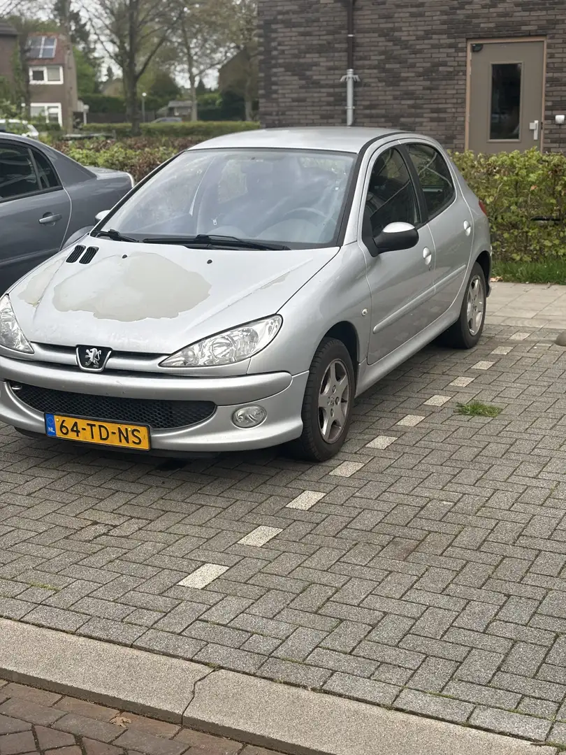 Peugeot 206 75 Petit Filou - 2
