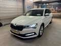 Skoda Superb Superb Kombi 2,0 TDI Ambition DSG Ambition Weiß - thumbnail 3