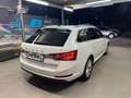 Skoda Superb Superb Kombi 2,0 TDI Ambition DSG Ambition Weiß - thumbnail 8