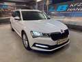 Skoda Superb Superb Kombi 2,0 TDI Ambition DSG Ambition Weiß - thumbnail 1