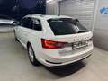 Skoda Superb Superb Kombi 2,0 TDI Ambition DSG Ambition Weiß - thumbnail 10