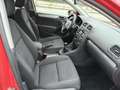 Volkswagen Golf 1.6TDI CR Advance 105 Rosso - thumbnail 8