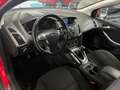Ford Focus Lim. Champions Edition SHZ PDC v+h Rouge - thumbnail 10