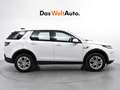 Land Rover Discovery Sport 2.0D I4-L.Flw 150 PS AWD MHEV Auto HSE Blanc - thumbnail 3