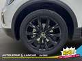 Volkswagen T-Roc 2.0 TDI Style 115cv + TETTO NERO 1 PROPRIETARIO Bianco - thumbnail 14