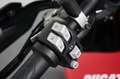 Ducati Hypermotard 950 Rood - thumbnail 22
