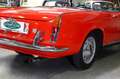 Fiat 1500 Pinifarina Spider Rot - thumbnail 13