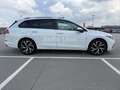 Volkswagen Golf 8 2.0 TDI Var*VIRTUAL*PANO*IQ-LED*NAVI*AHK Wit - thumbnail 6