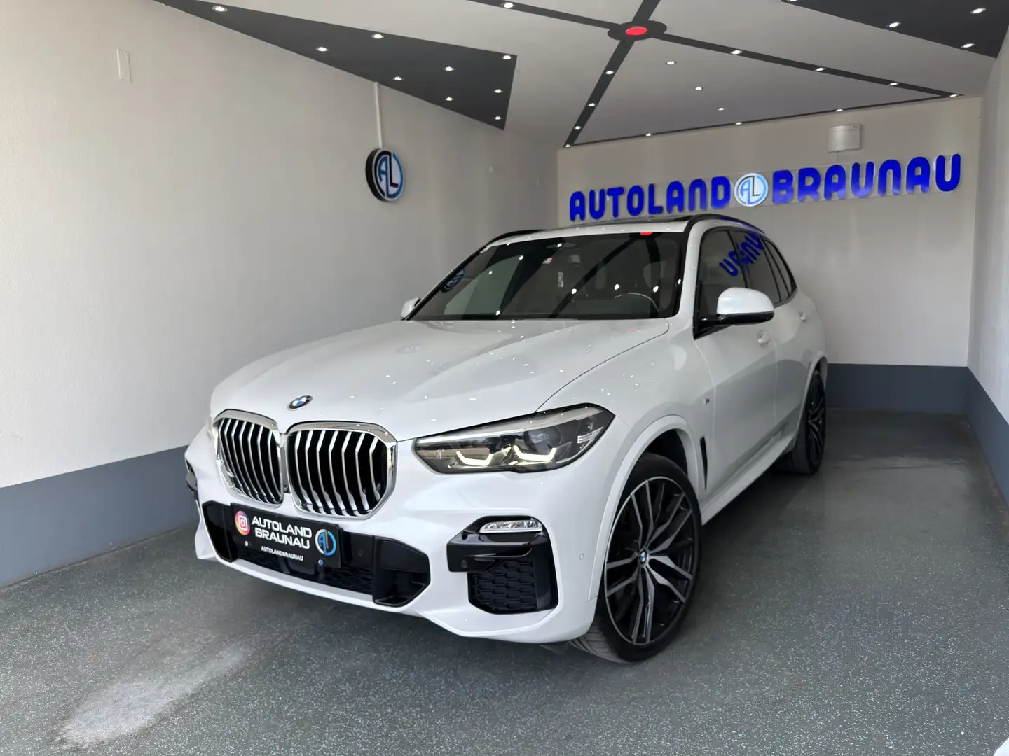 BMW X5 X5 xDrive30d xLine M-Paket - 1