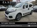Fiat Qubo 1.3 MJT 80 CV Trekking Bianco - thumbnail 1