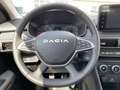 Dacia Sandero III 1.0 TCe 110 e e) Stepway Extreme *LM Beige - thumbnail 11