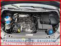 Volkswagen Caddy Caddy TDI BMT 2.0 TDI (7-Si.) Maxi Trendline Schwarz - thumbnail 19