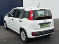 Fiat Panda Pop Weiß - thumbnail 4