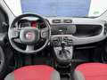 Fiat Panda Pop Weiß - thumbnail 6