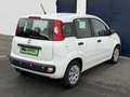 Fiat Panda Pop Weiß - thumbnail 3