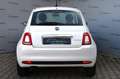 Fiat 500 Cult **2.Hand**Unfallfrei** Blanco - thumbnail 6