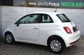 Fiat 500 Cult **2.Hand**Unfallfrei** Blanco - thumbnail 5