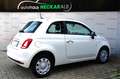 Fiat 500 Cult **2.Hand**Unfallfrei** Blanco - thumbnail 8
