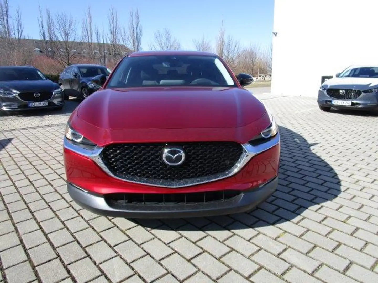 Mazda CX-30 SKYACTIV-G 2.0 150PS M Hybrid Automatik, LED Schei Rot - 2