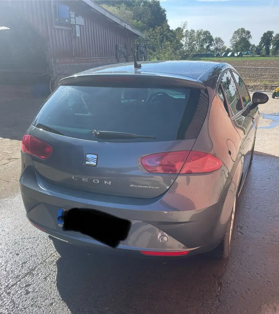 SEAT Leon Style Copa Ecomotive Grau - 2