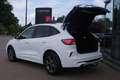 Ford Kuga 2.5 PHEV 225 PK ST-Line X, Adap. Cruise Control, W Wit - thumbnail 18