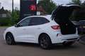 Ford Kuga 2.5 PHEV 225 PK ST-Line X, Adap. Cruise Control, W Wit - thumbnail 17