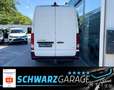 Hyundai H 350 Kasten L2H2 Eco*KLIMA*KAMERA* Weiß - thumbnail 6