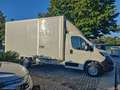 Peugeot Boxer 335 BlueHDi 140 PLM-TM Furgone Bianco - thumbnail 4