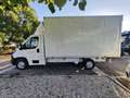 Peugeot Boxer 335 BlueHDi 140 PLM-TM Furgone Bianco - thumbnail 8
