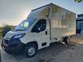 Peugeot Boxer 335 BlueHDi 140 PLM-TM Furgone Bianco - thumbnail 1