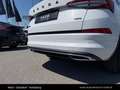 Skoda Kodiaq 2,0 TDI SCR 4x4 Sportline DSG Weiß - thumbnail 15