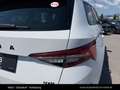 Skoda Kodiaq 2,0 TDI SCR 4x4 Sportline DSG Weiß - thumbnail 14