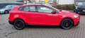 Volvo V40 Cross Country 2.0 D*150PS*Navi*RFK*Xenon*Automatik*8-fach Alu Rojo - thumbnail 4