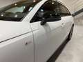 Audi A4 Avant 40 TDI Sport quattro S-Tronic / S-line / Matrix LED / RFK / HeadUp / Virtual / ACC / uvm. Weiß - thumbnail 8