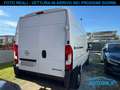 Opel Movano Furgone 35 2.2 BlueHDi 140cv L2H2 PM-TM 3posti Bianco - thumbnail 4
