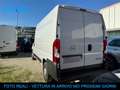 Opel Movano Furgone 35 2.2 BlueHDi 140cv L2H2 PM-TM 3posti Bianco - thumbnail 3
