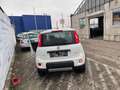 Fiat Panda TwinAir 85 4x4 Wild Panda Wild 4x4 Weiß - thumbnail 15