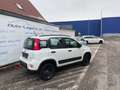 Fiat Panda TwinAir 85 4x4 Wild Panda Wild 4x4 Weiß - thumbnail 6