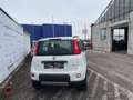 Fiat Panda TwinAir 85 4x4 Wild Panda Wild 4x4 Weiß - thumbnail 5