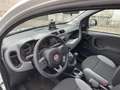 Fiat Panda TwinAir 85 4x4 Wild Panda Wild 4x4 Weiß - thumbnail 20