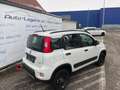 Fiat Panda TwinAir 85 4x4 Wild Panda Wild 4x4 Weiß - thumbnail 14