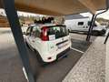 Fiat Panda TwinAir 85 4x4 Wild Panda Wild 4x4 Weiß - thumbnail 2